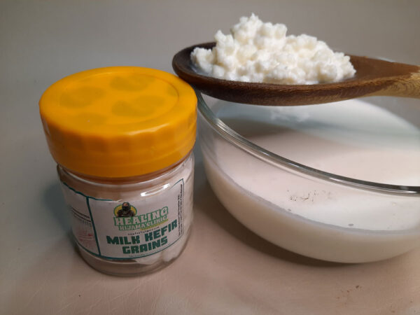 Milk-Kefir-Grains